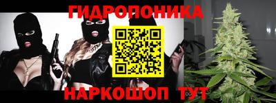 крисы Краснознаменск