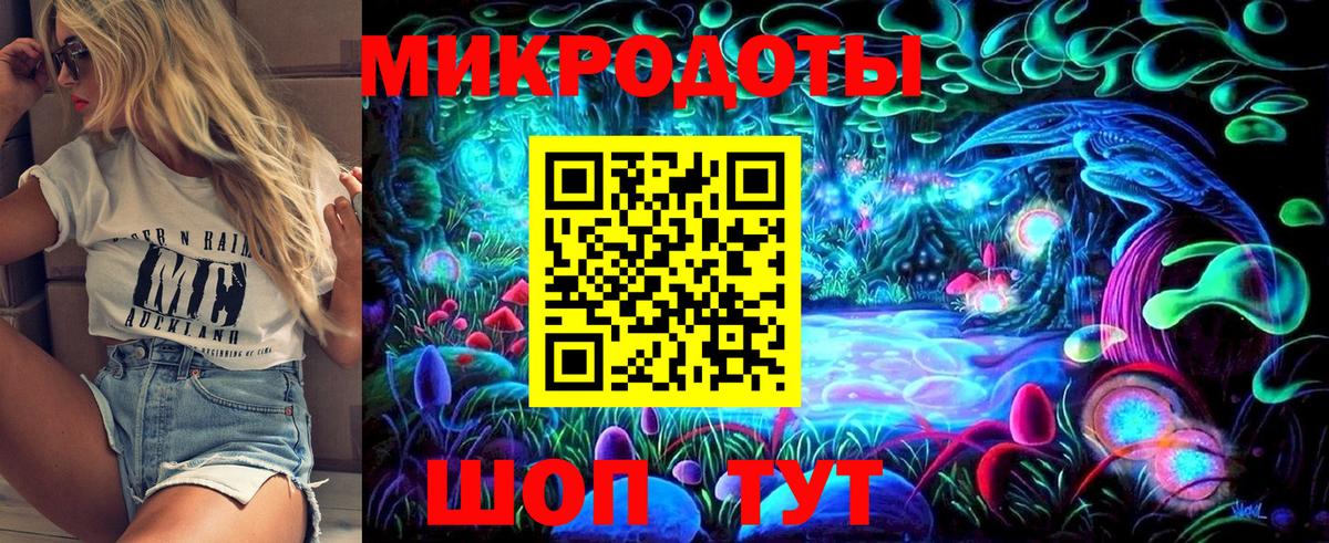 Галлюциногенные грибы Psilocybine cubensis Карачаевск
