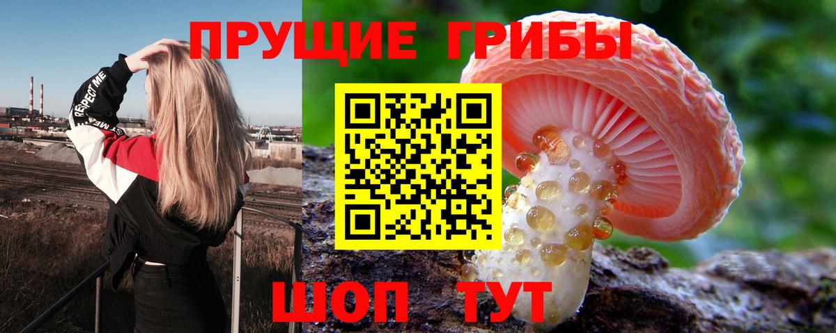 Псилоцибиновые грибы мухоморы  Вход с VPN  Карачаевск 